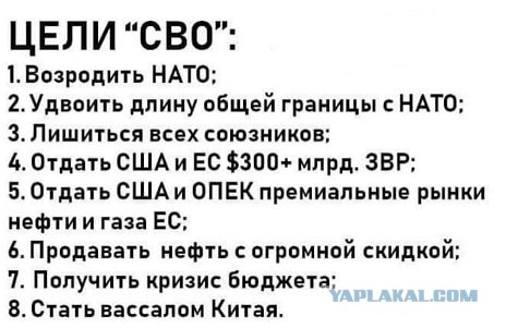 Добрые и милые израильтяне...