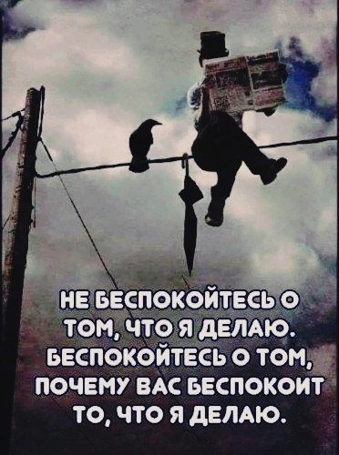 Так себе картинки 19.12.23