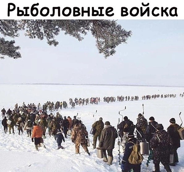 Отряд быстрого деградирования