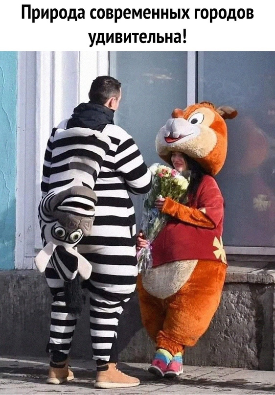Весёлый полтишок 02.04.24
