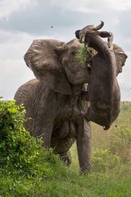 Бутан, таинственный Бутан
