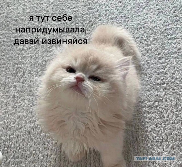 Сборник Баянов