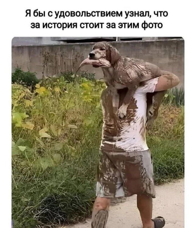 https://s00.yaplakal.com/pics/pics_original/4/6/5/20096564.jpg