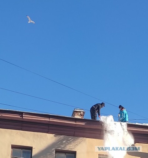 Устроился работать управдомом в ЖКХ Адмиралтейского района Святого Петербурга