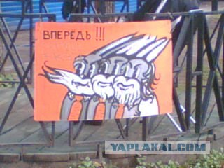 Что мы видим вокруг себя
