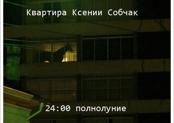 Животные бывают разные