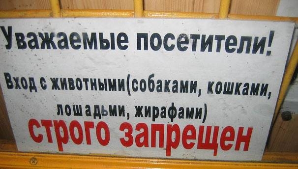 25 самых ироничных фотографий.