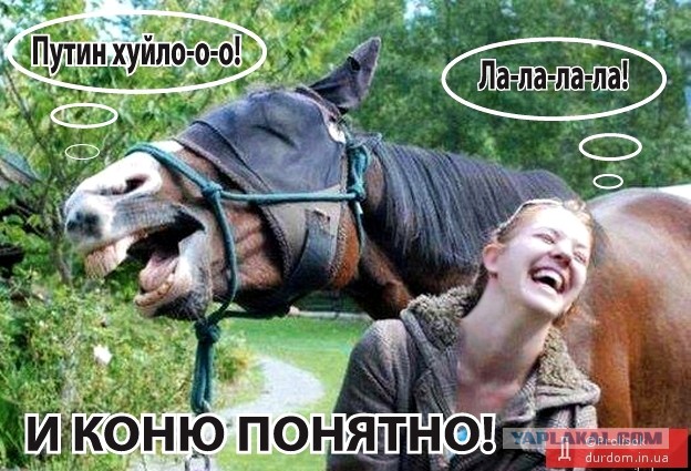 Визит Путина в Севастополь возмутил Украину