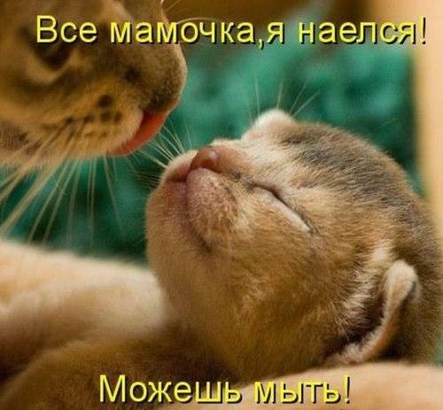 Веселые картинки № х/з