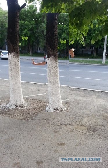 Девушка сказала - девушка сделала!