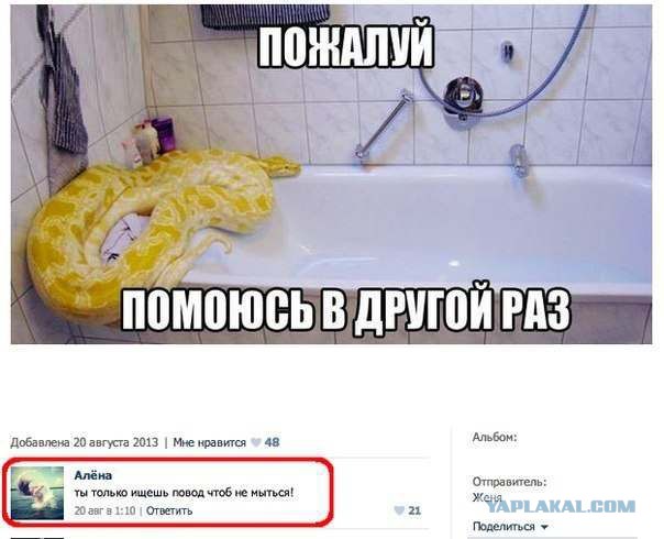 Смешные комментарии из социальных сетей