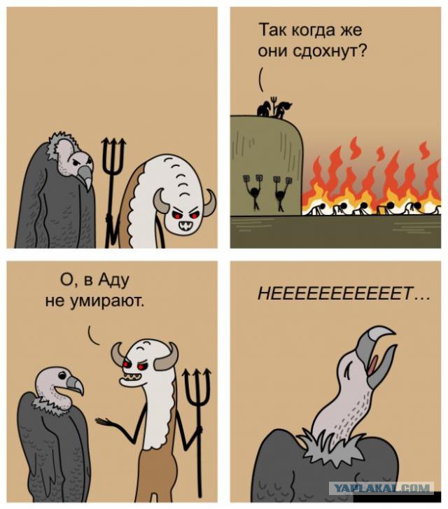 Немного позитива на пятницу