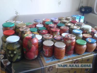 Последнее фото с Вашего телефона.