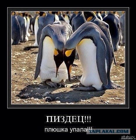 Cмешные баяны