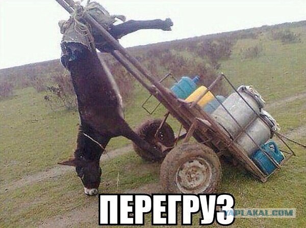 Обнаружил переписку своей жены с другом детства