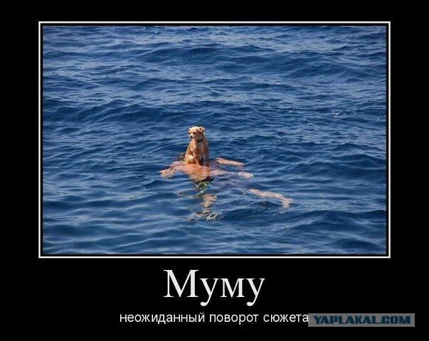 Весёлое из сети