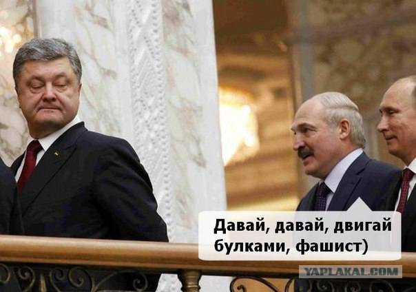 Переговоры в Минске дали поводы для фейков и шуток