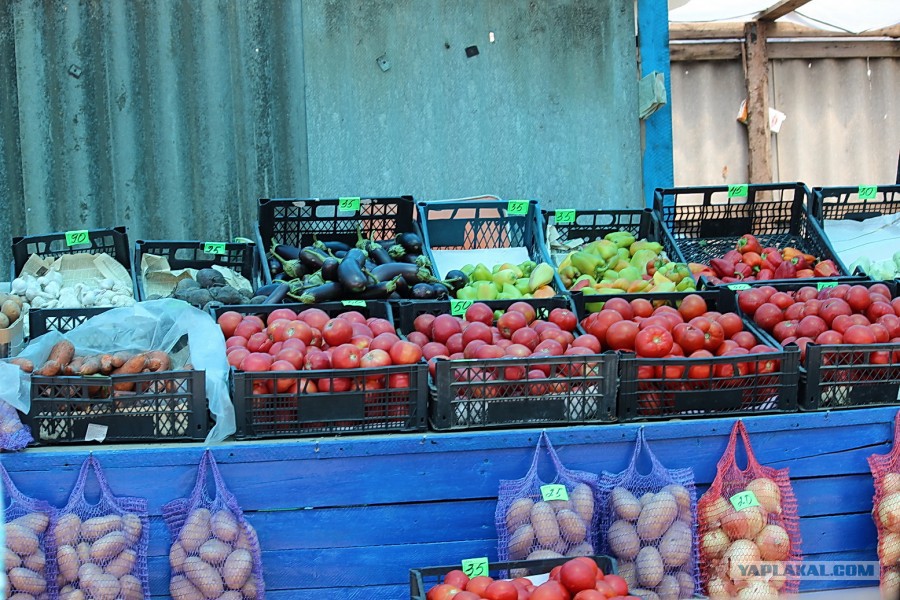 ���� � ������� � ����� ������� �����������