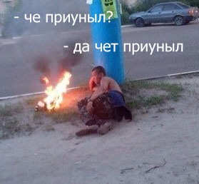 Вестник соцсетей
