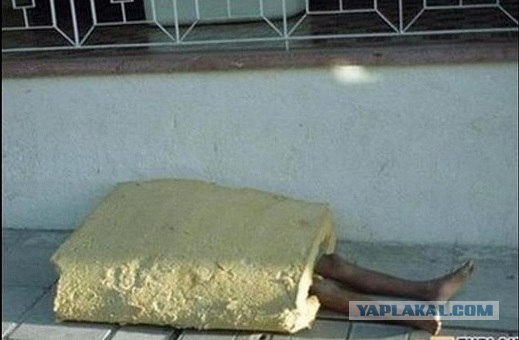 При инвентаризации склада обнаружен брат Патрика