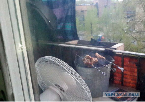Любите шашлык?