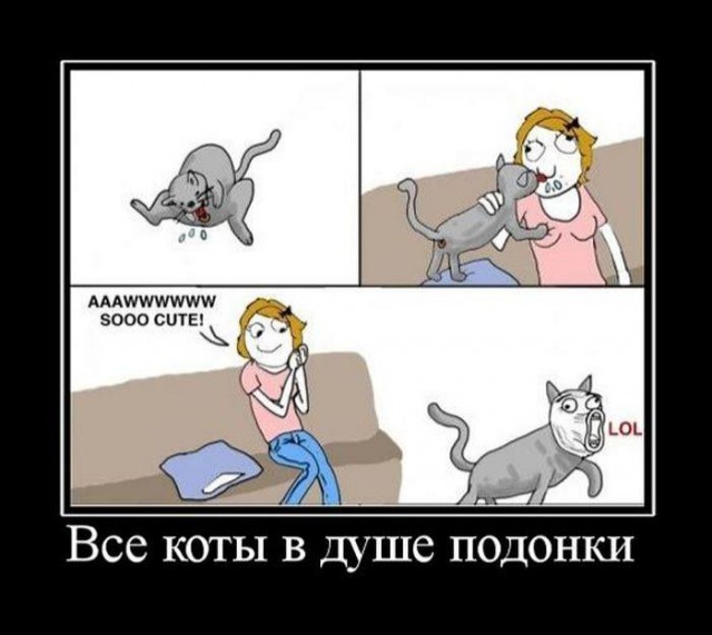 Для поднятия настоения