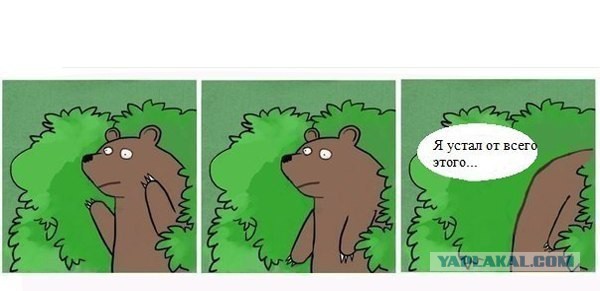 Сожительствую с тремя мужчинами