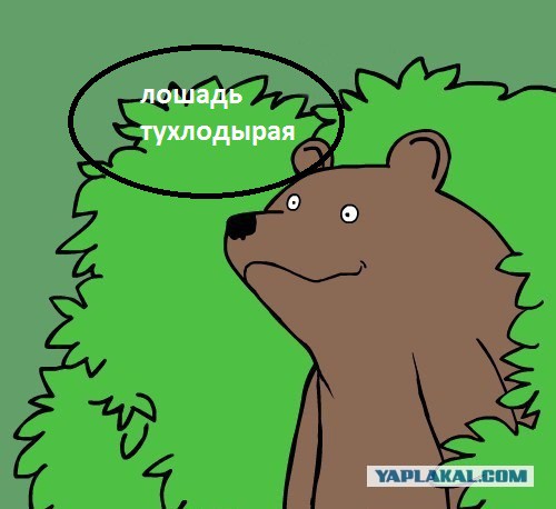 Спалилась на измене