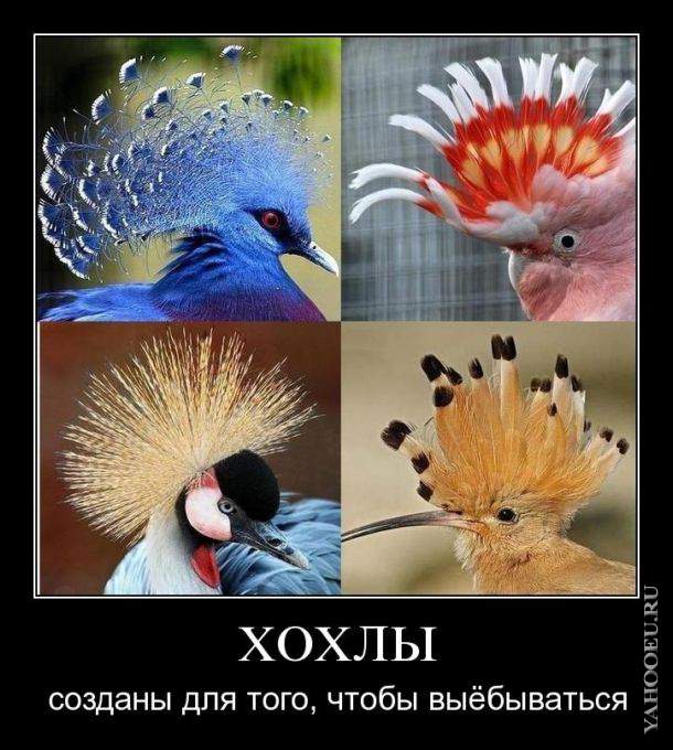 Блокада Крыма началась