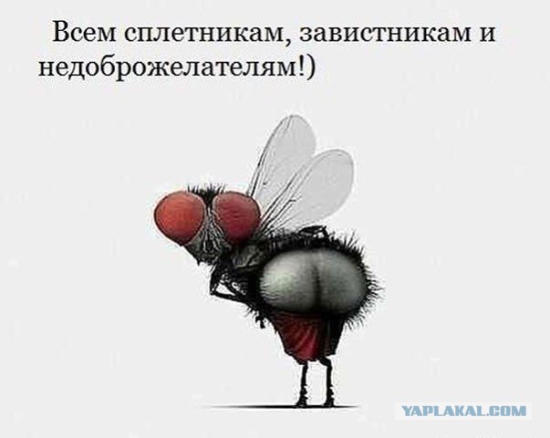 Плюшкиным посвящается