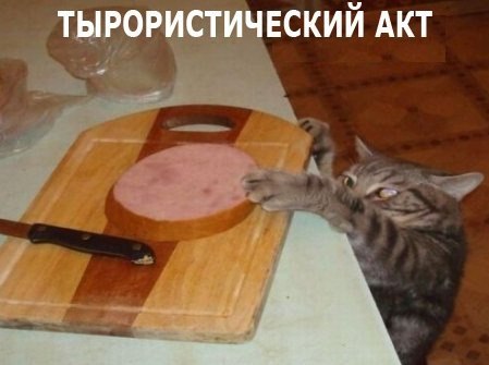 Веселые картинки