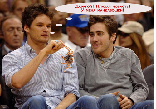 фотожаба "ПРИЯТЕЛИ"