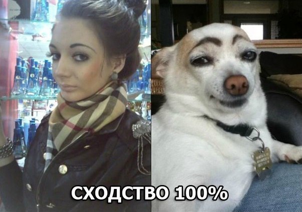 Ужасы и приколы из соцсетей