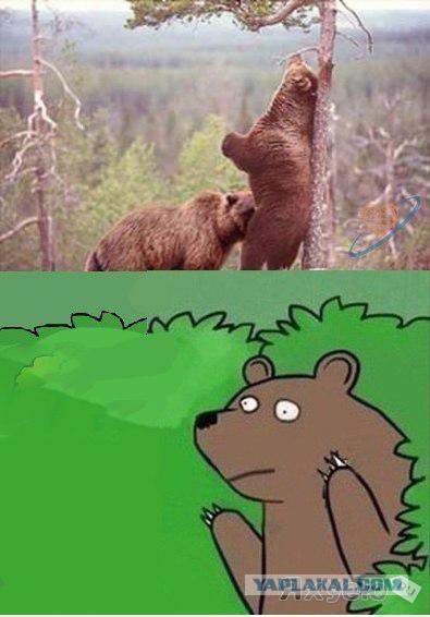 «Часто спрашивают, ревную ли я жену, когда она спит с другими мужчинами». Футболист пришел к успеху в порно