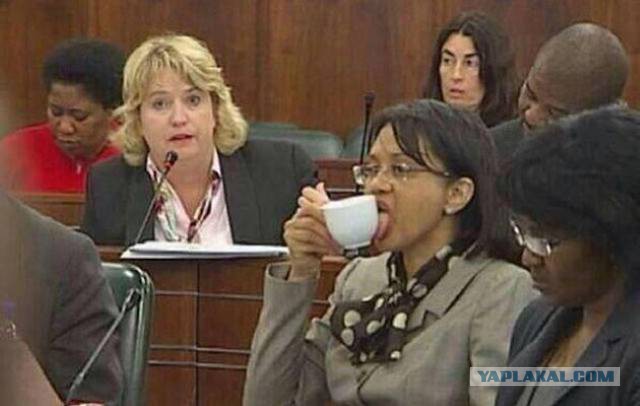 WTF: Что тут происходит?