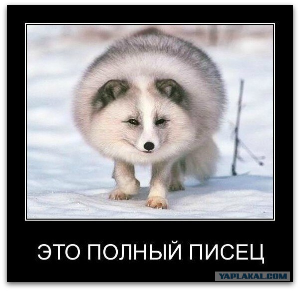 Вся суть Дома 2 в одном ролике