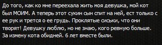 Смешные комментарии из социальных сетей 29.07.2016