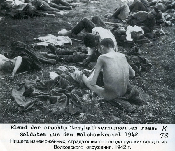 Волховский фронт. 1942. Взгляд с той стороны.