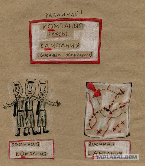 О наболевшем. Правописание -тся и -ться в глаголах. Русский язык, 5 класс