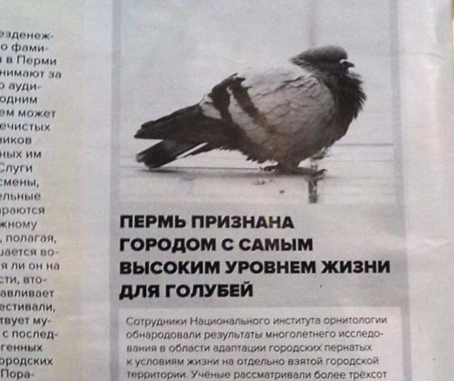 Жёлтая пресса не перестаёт нас удивлять!