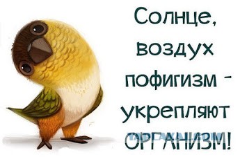 Пост о том почему я живу хреново и мне всё похрену