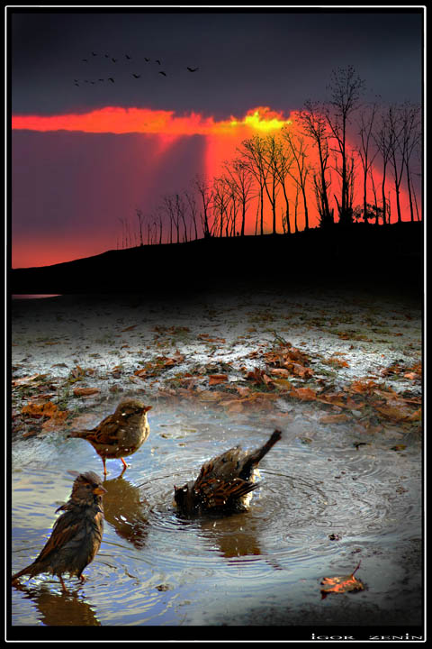 Красивые работы (c) IGOR ZENIN