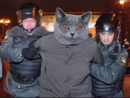 Дорофей убежал! Ещё один всё понял...