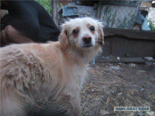 Из России в Германию