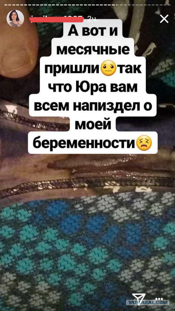 Скотсети и прочие интернеты 12.07.19
