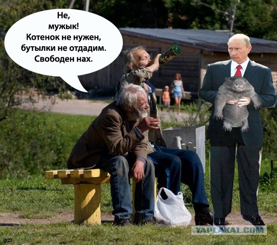 Хорошо сидим