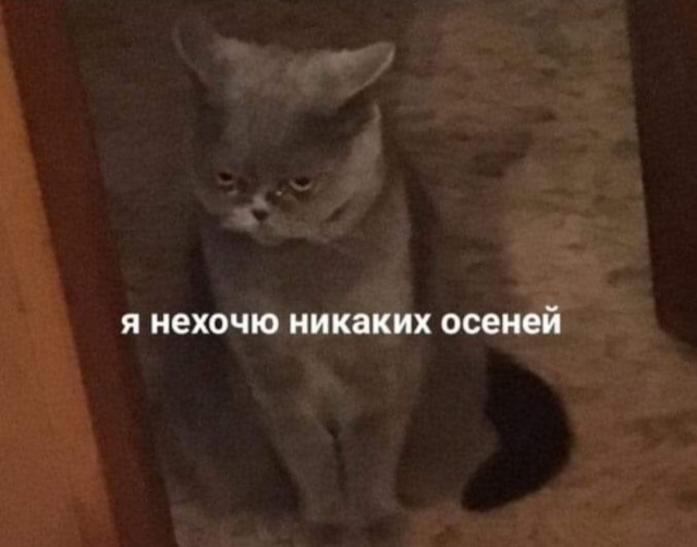 "А-а-а, говорящее бревно!" или все плохо