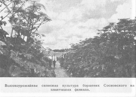 Индустриализация в СССР