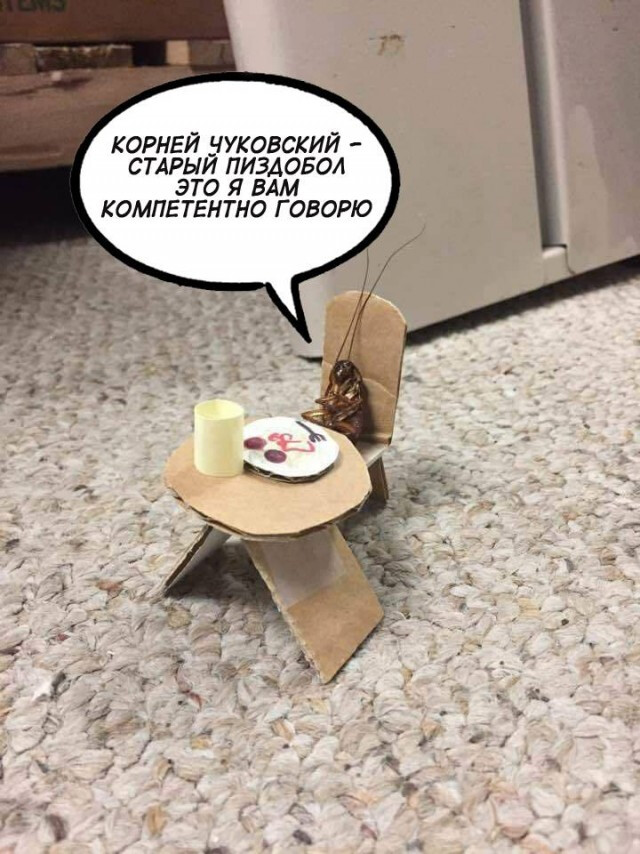 Фотки и картинки: юморные и красивые, забавные и милые 11.11.20