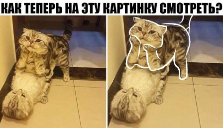 Юмор в картинках 22.11.2020